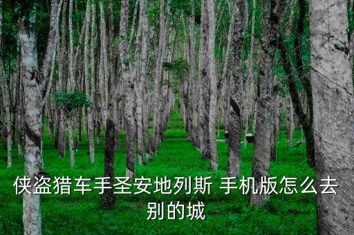 侠盗猎车手圣安地列斯 手机版怎么去别的城