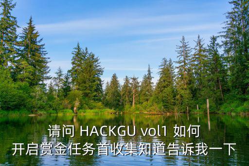 请问 HACKGU vol1 如何开启赏金任务首收集知道告诉我一下