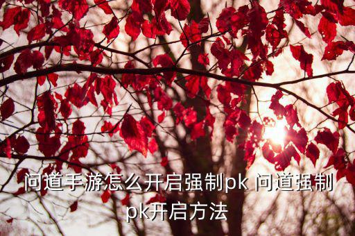 问道手游怎么开启强制pk 问道强制pk开启方法
