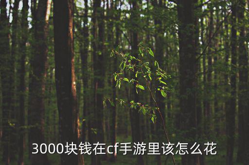 穿越火线手游身价怎么提高，穿越火线手游最高v特权是多少