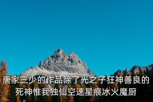 唐家三少的作品除了光之子狂神善良的死神惟我独仙空速星痕冰火魔厨