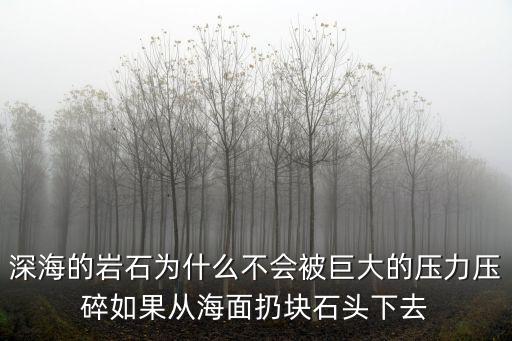 深海的岩石为什么不会被巨大的压力压碎如果从海面扔块石头下去