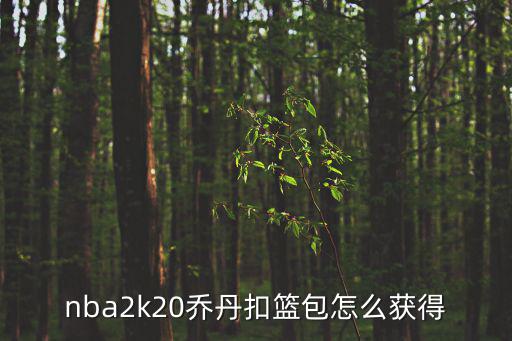 nba2k20乔丹扣篮包怎么获得
