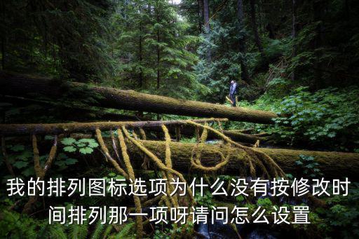 我的排列图标选项为什么没有按修改时间排列那一项呀请问怎么设置