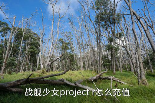 手游版现代战舰怎么充钱，战舰少女project r怎么充值