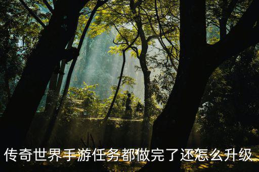 传奇世界手游任务都做完了还怎么升级