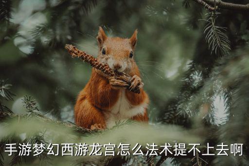 梦幻西游龙宫怎么提升法伤手游，手游梦幻西游龙宫怎么法术提不上去啊