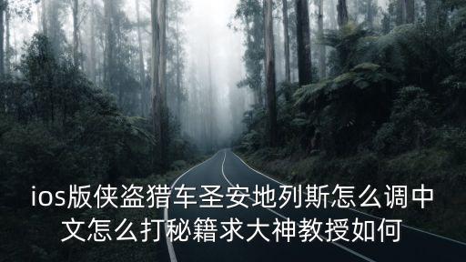 苹果手游圣安地列斯怎么用秘籍，ios版侠盗猎车圣安地列斯怎么调中文怎么打秘籍求大神教授如何