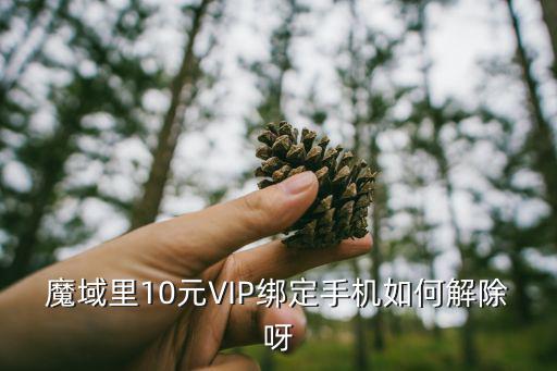 魔域手游vip10怎么玩，魔域里10元VIP绑定手机如何解除呀