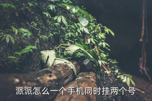 派派怎么一个手机同时挂两个号