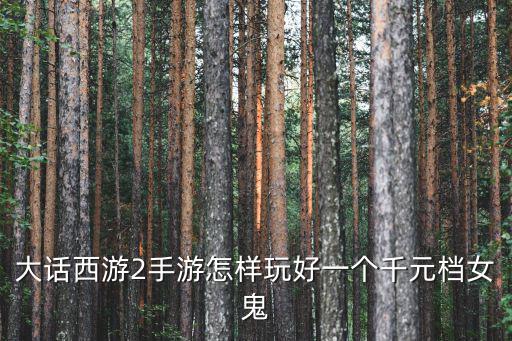 大话西游2手游怎样玩好一个千元档女鬼