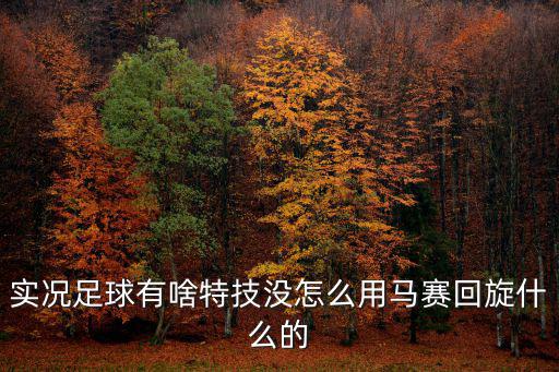 实况手游技能怎么使用，实况2012大力手抛球等特殊能力在比赛里怎么使用