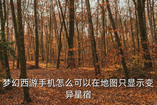 梦幻西游手机怎么可以在地图只显示变异星宿