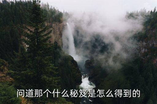 问道那个什么秘笈是怎么得到的