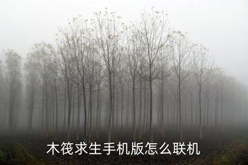 木筏求生2手游版怎么邀请好友，木筏求生手机版怎么联机