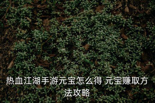 热血江湖手游元宝怎么得 元宝赚取方法攻略