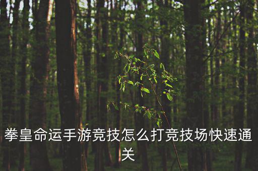 拳皇命运手游竞技怎么打竞技场快速通关