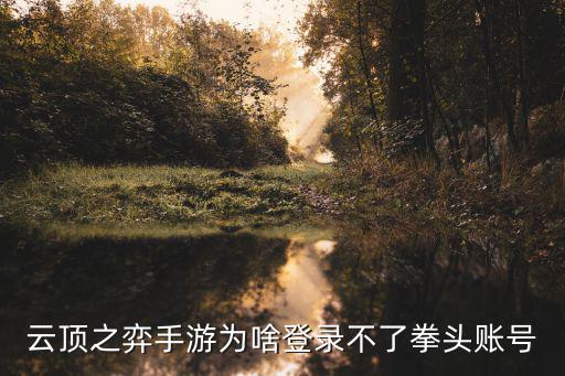 云顶之弈手游为啥登录不了拳头账号