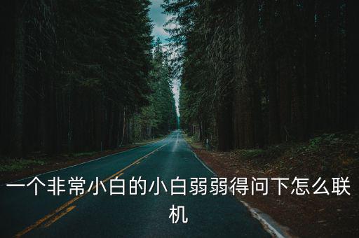 一个人的游戏手游怎么联机，游戏怎么联网