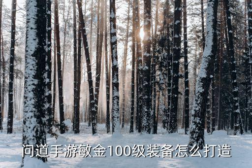 问道手游敏金100级装备怎么打造