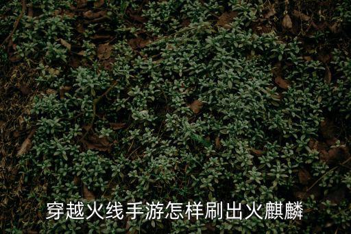 穿越火线手游的麒麟初心怎么获得，cf游戏的火麒麟怎么刷去骗子死全家这个可以刷625536769