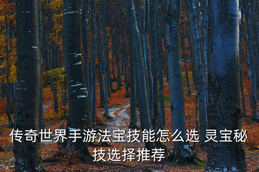 复古传奇手游灵宝怎么玩，传奇世界手游法宝技能怎么选 灵宝秘技选择推荐