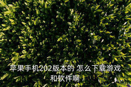 2k22手游ios怎么下载，请问 NBA2K16在ios系统怎么下载从哪下载有没有个链接谢谢各