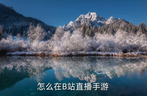 怎么在B站直播手游