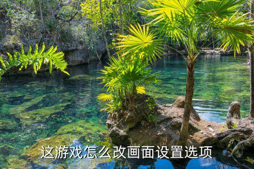 手游2k21怎么调画质，2K11画面设置