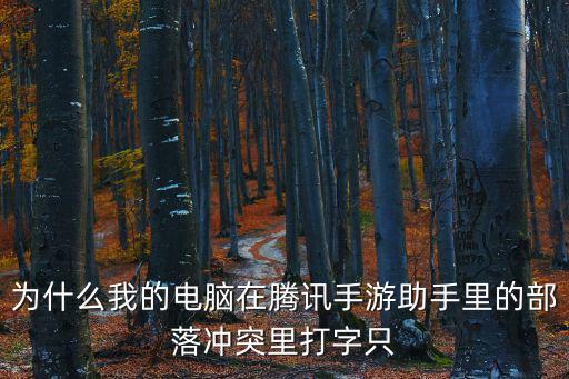 为什么我的电脑在腾讯手游助手里的部落冲突里打字只