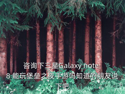 咨询下三星Galaxy note 8 能玩堡垒之夜手游吗知道的朋友说下吧