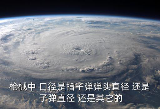 枪械中 口径是指子弹弹头直径 还是 子弹直径 还是其它的