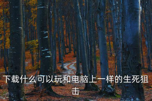 下载什么可以玩和电脑上一样的生死狙击