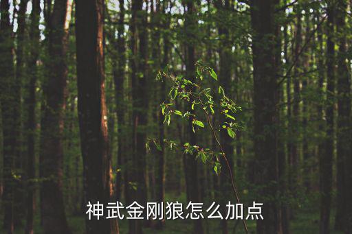神武4手游PK金刚狼怎么加点，神武金刚狼怎么加点