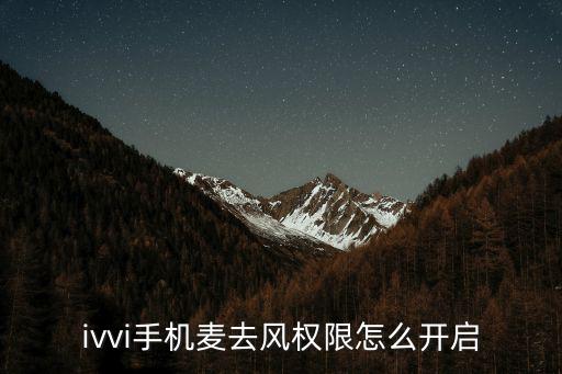 ivvi手机麦去风权限怎么开启