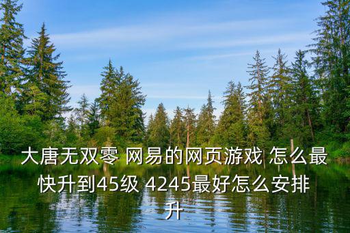 大唐无双零 网易的网页游戏 怎么最快升到45级 4245最好怎么安排升