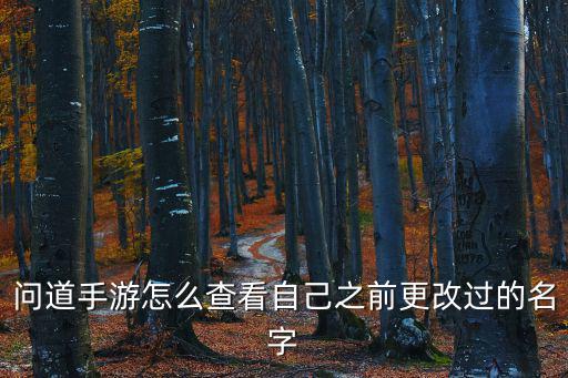 问道手游怎么查看自己之前更改过的名字