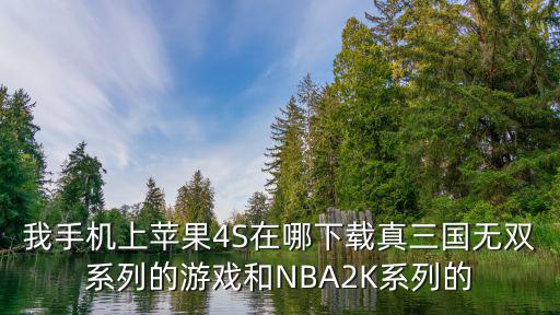 我手机上苹果4S在哪下载真三国无双系列的游戏和NBA2K系列的