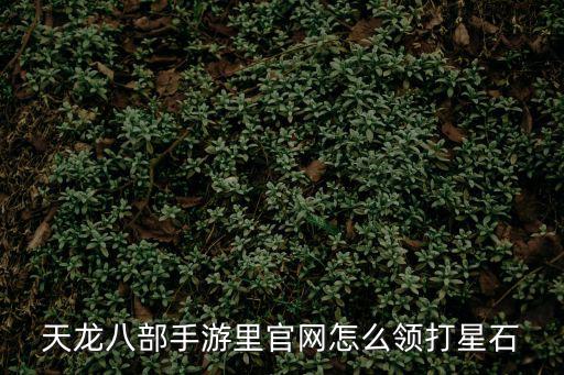 天龙八部手游里官网怎么领打星石