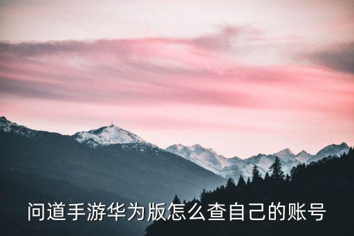 问道手游华为版怎么查自己的账号