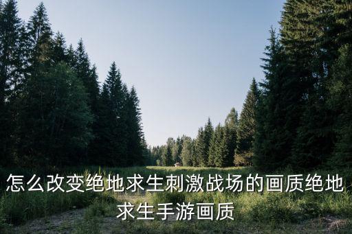 怎么改变绝地求生刺激战场的画质绝地求生手游画质