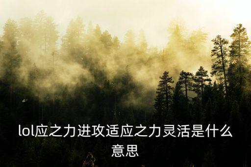 lol应之力进攻适应之力灵活是什么意思