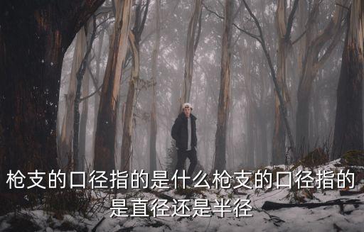枪支的口径指的是什么枪支的口径指的是直径还是半径