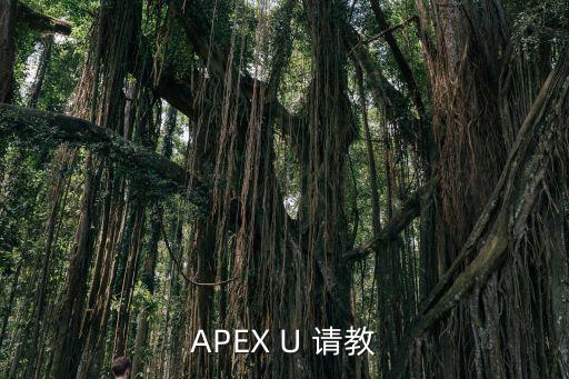 apex手游香港版怎么登录，APEX U 请教