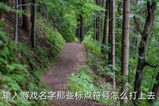 输入游戏名字那些标点符号怎么打上去