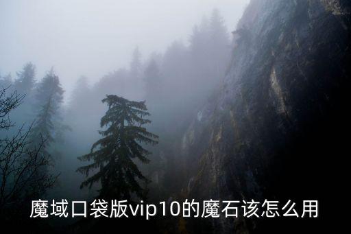 魔域口袋版vip10的魔石该怎么用