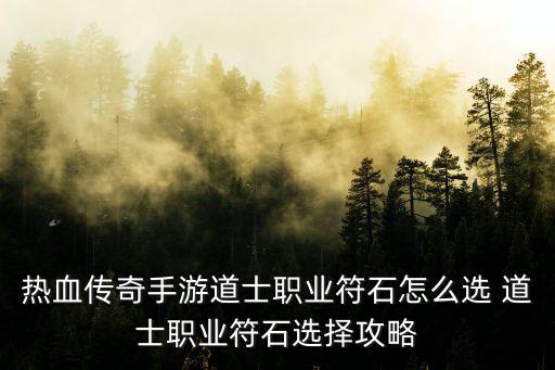 传奇类手游职业怎么选，热血传奇手游道士职业符石怎么选 道士职业符石选择攻略