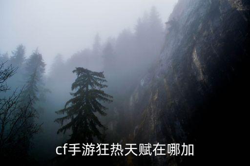 cf手游狂热天赋在哪加