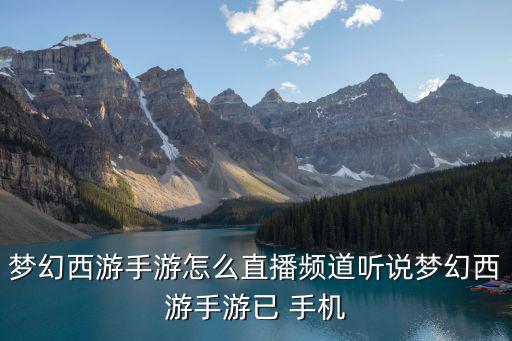 梦幻手游怎么自己直播，梦幻西游手游怎么直播频道听说梦幻西游手游已 手机