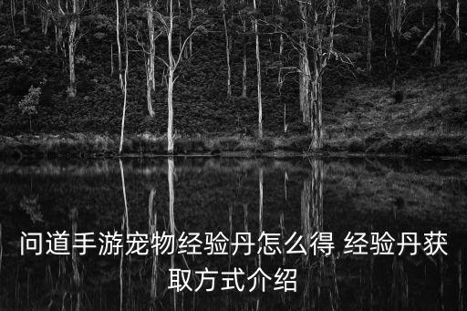 问道手游宠物经验丹怎么得 经验丹获取方式介绍
